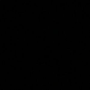 Meet your Posher, Pat